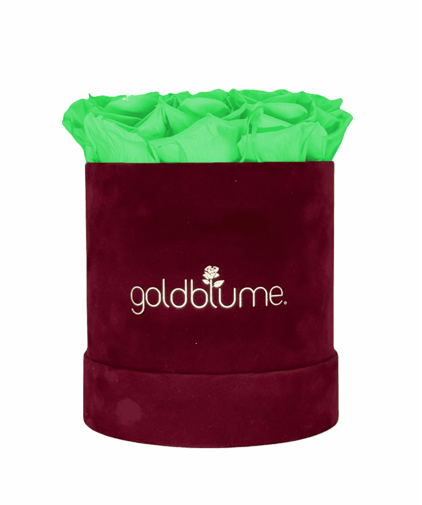 Velvet Bordeaux Collection - Goldblume 