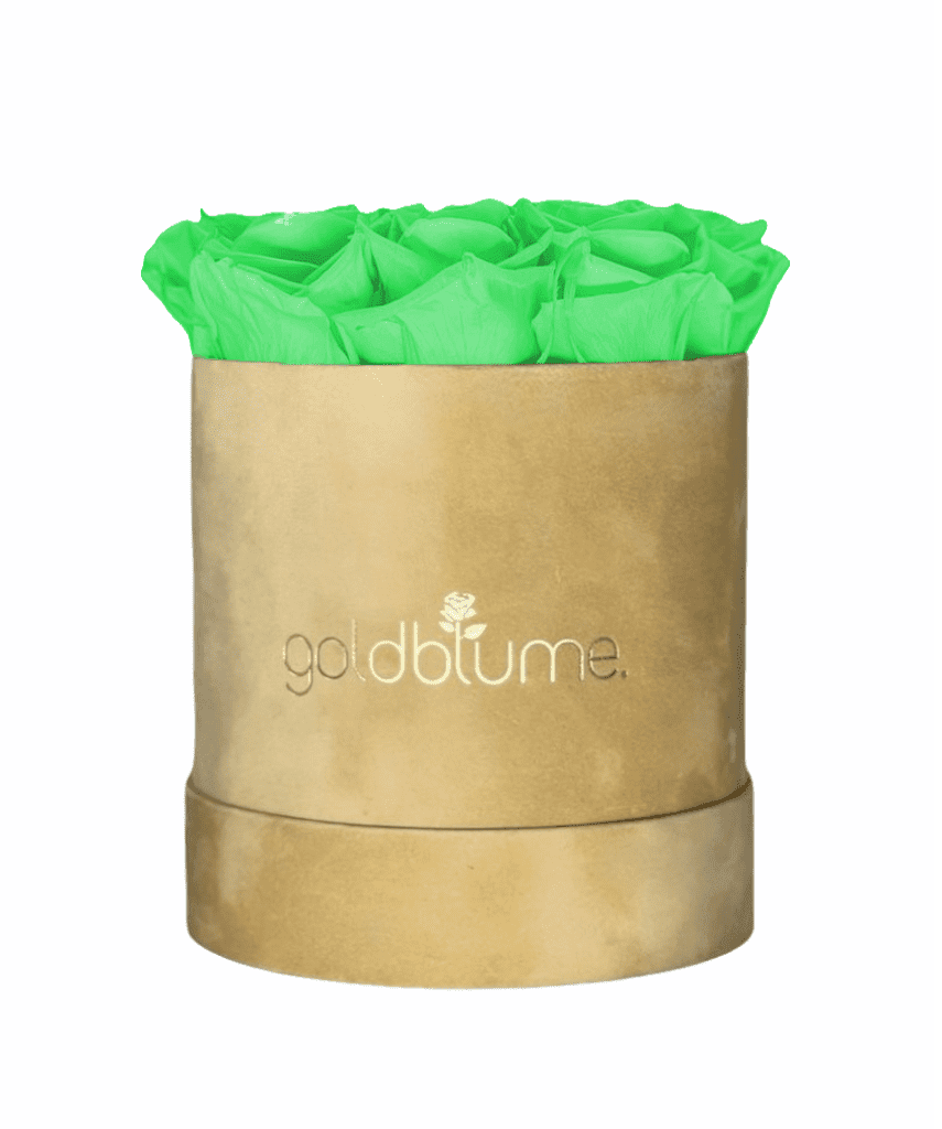 Velvet Beige Collection - Goldblume 