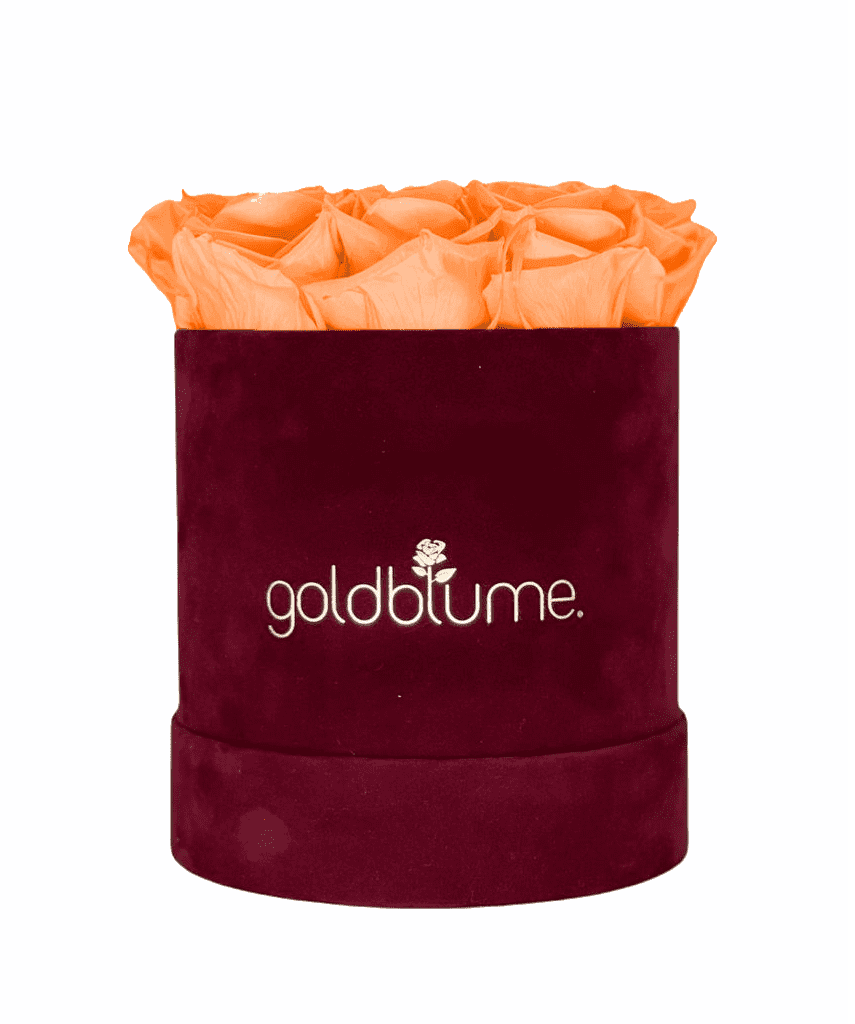 Velvet Bordeaux Collection - Goldblume 
