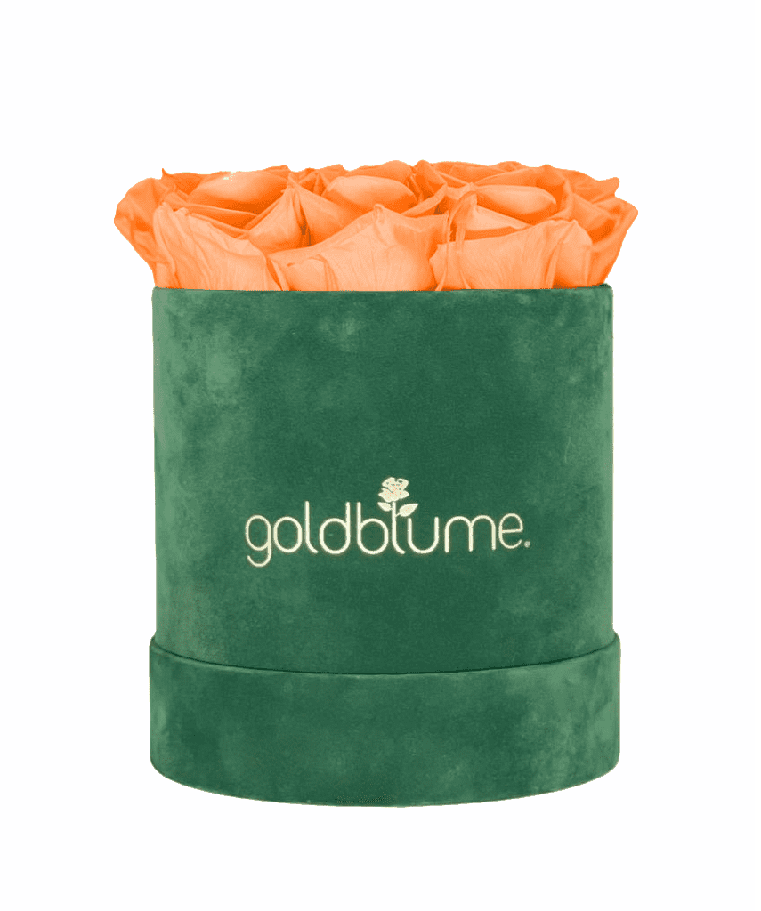 Velvet Green Collection - Goldblume 