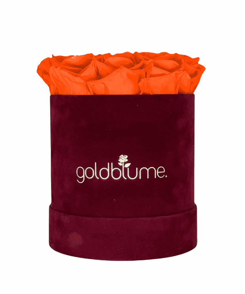 Velvet Bordeaux Collection - Goldblume 