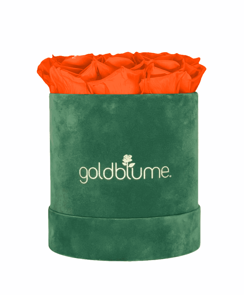 Velvet Green Collection - Goldblume 