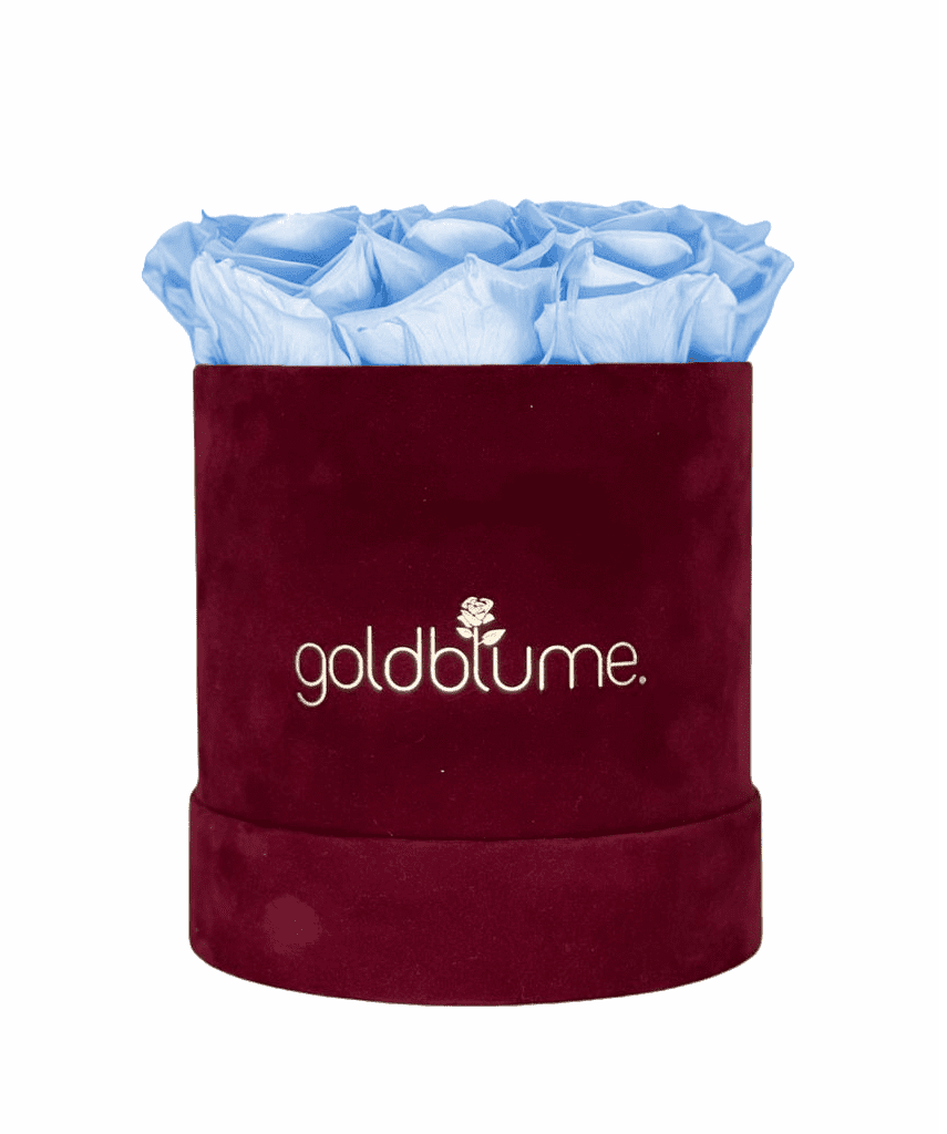 Velvet Bordeaux Collection - Goldblume 