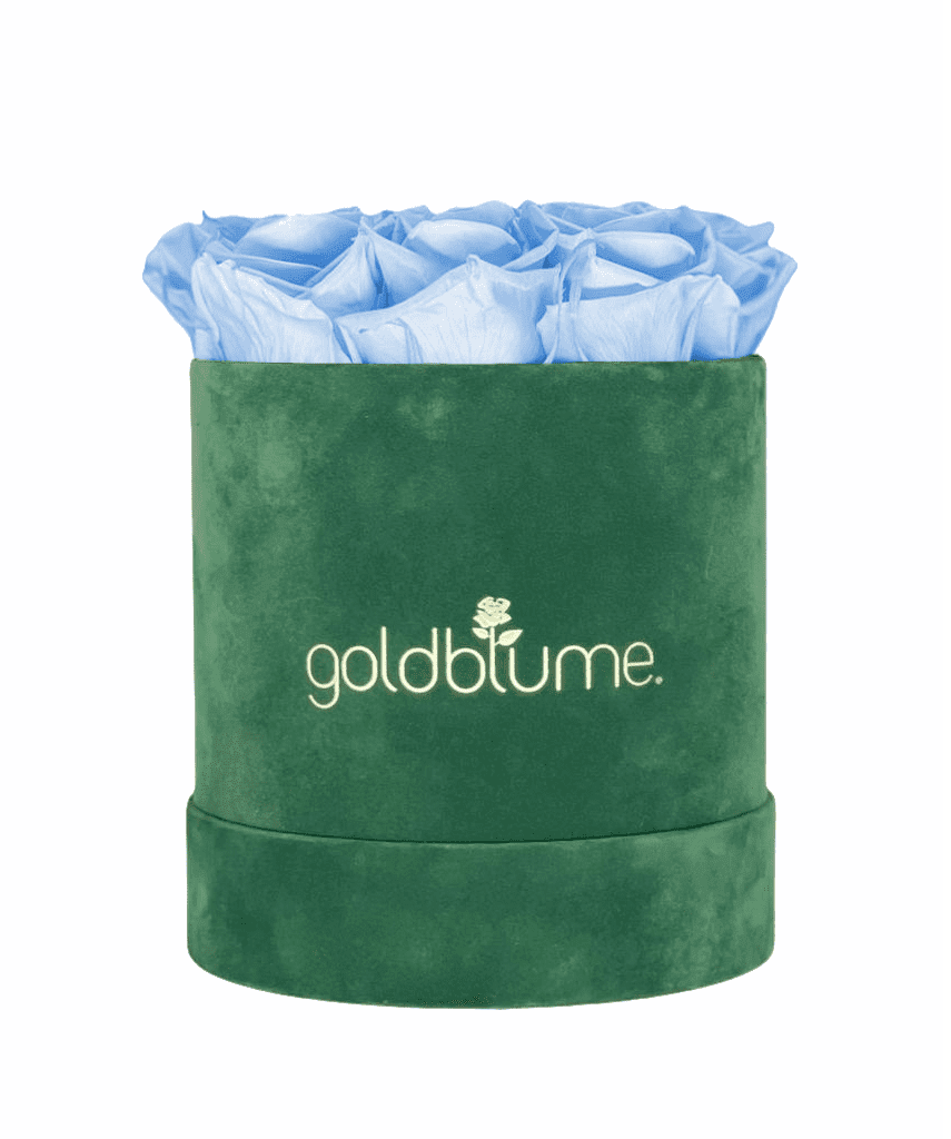 Velvet Green Collection - Goldblume 