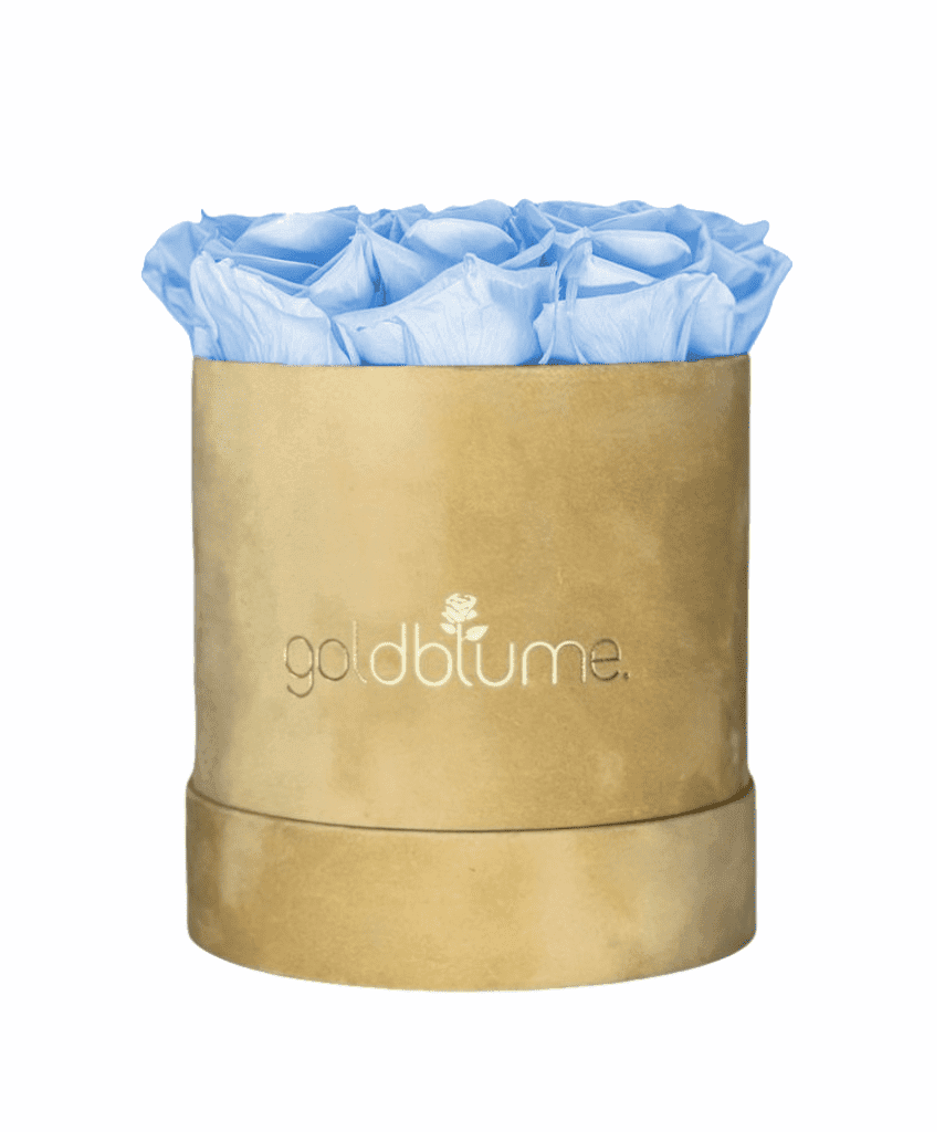 Velvet Beige Collection - Goldblume 