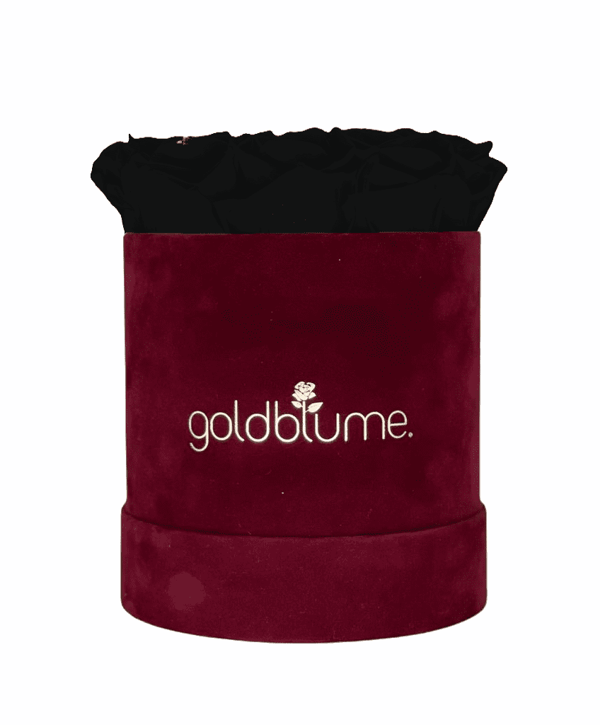 Velvet Bordeaux Collection - Goldblume 