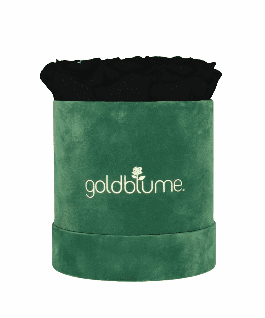 Velvet Green Collection - Goldblume 