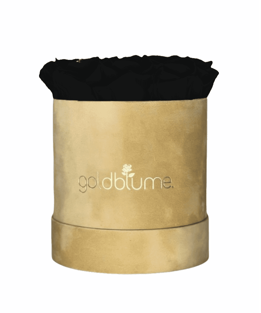 Velvet Beige Collection - Goldblume 