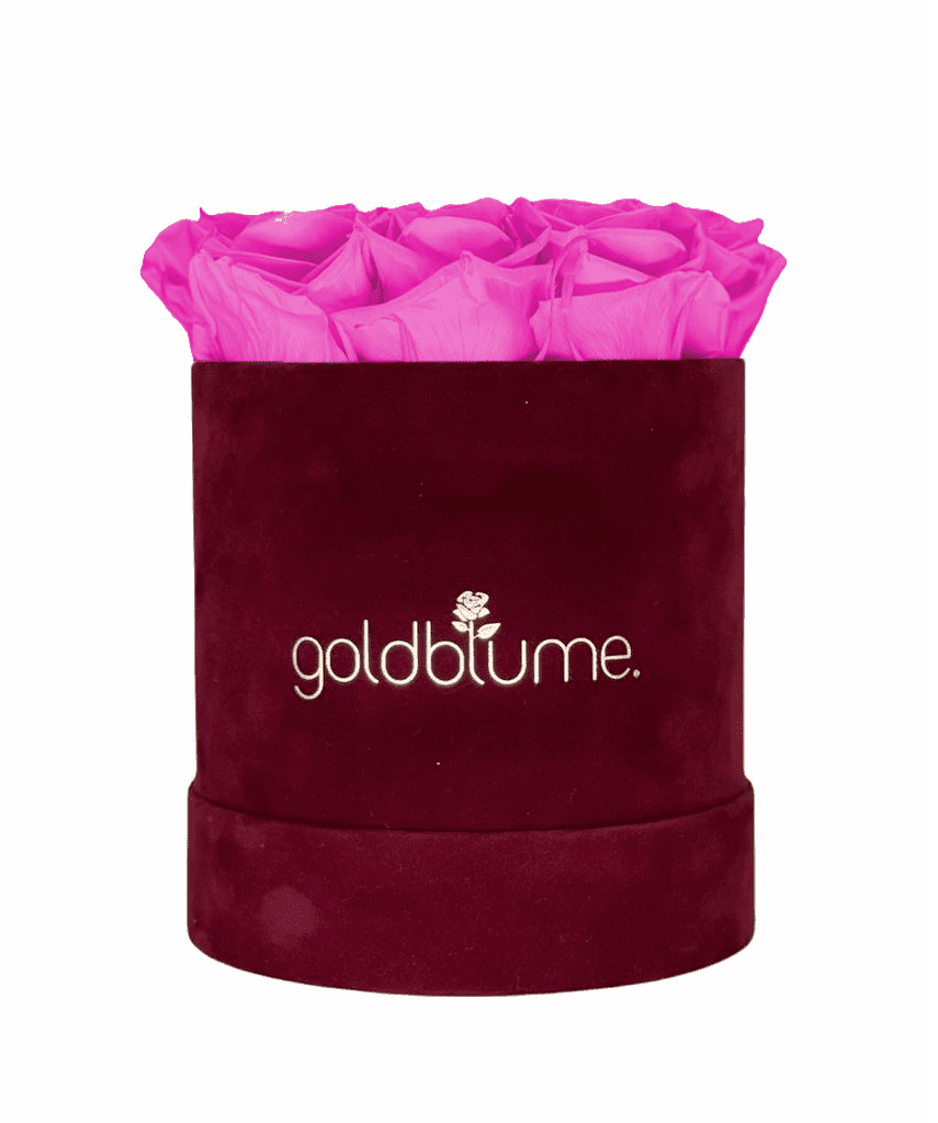 Velvet Bordeaux Collection - Goldblume 