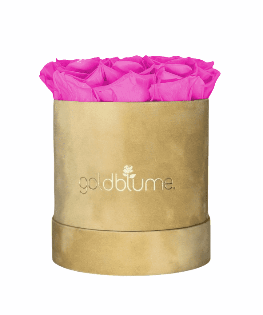 Velvet Beige Collection - Goldblume 