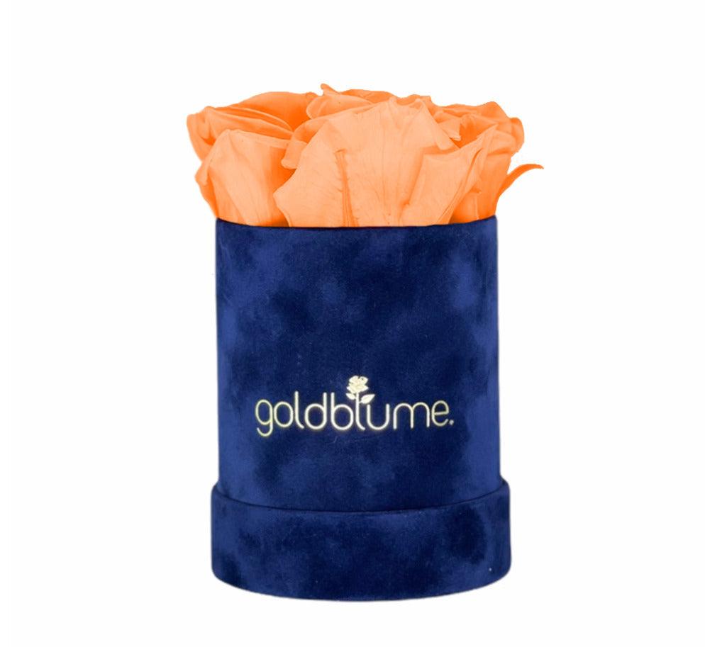 Velvet Royal Collection - Goldblume 