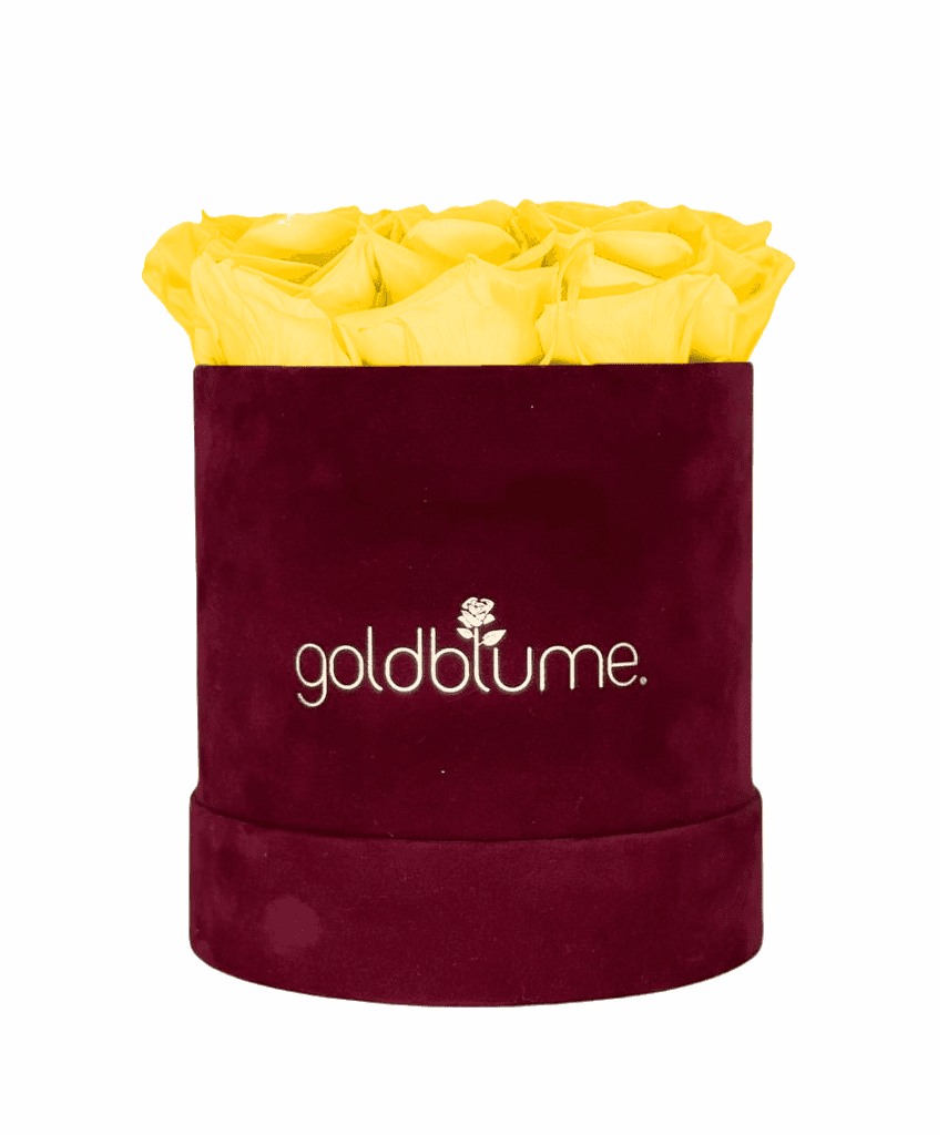 Velvet Bordeaux Collection - Goldblume 