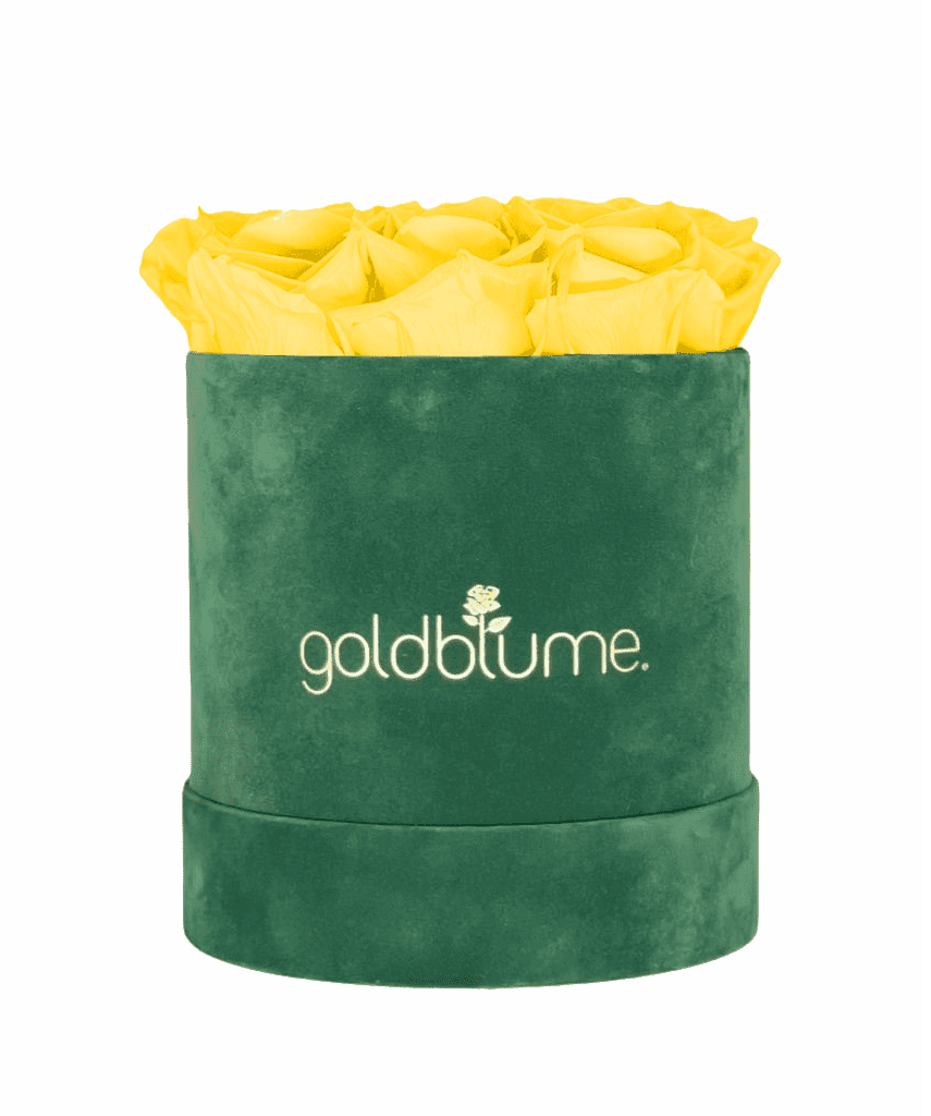 Velvet Green Collection - Goldblume 