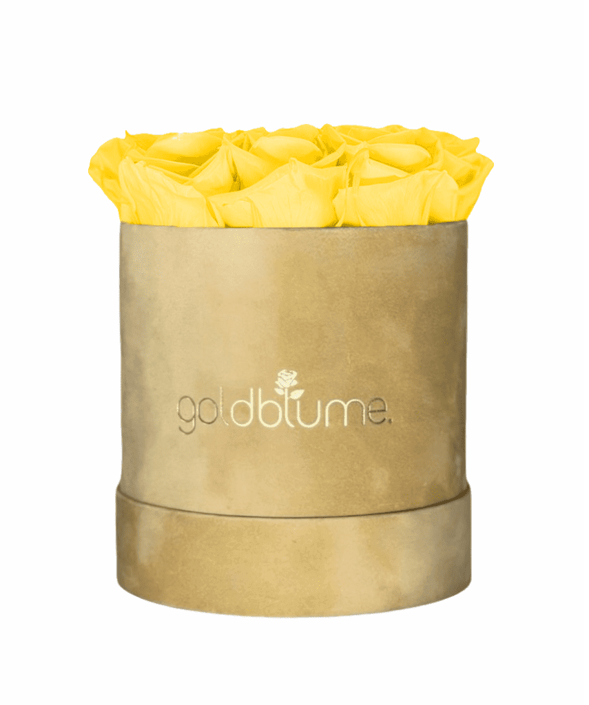 Velvet Beige Collection - Goldblume 