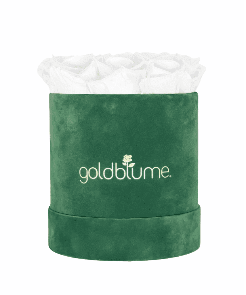 Velvet Green Collection - Goldblume 