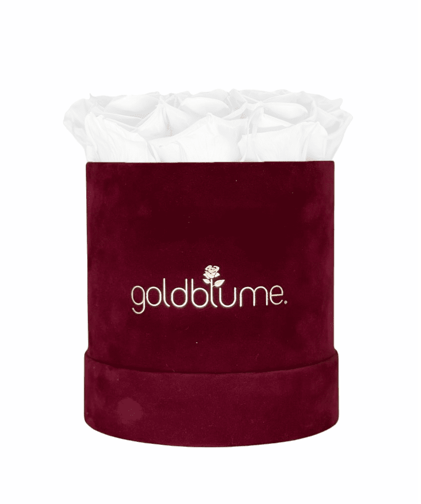 Velvet Bordeaux Collection - Goldblume 