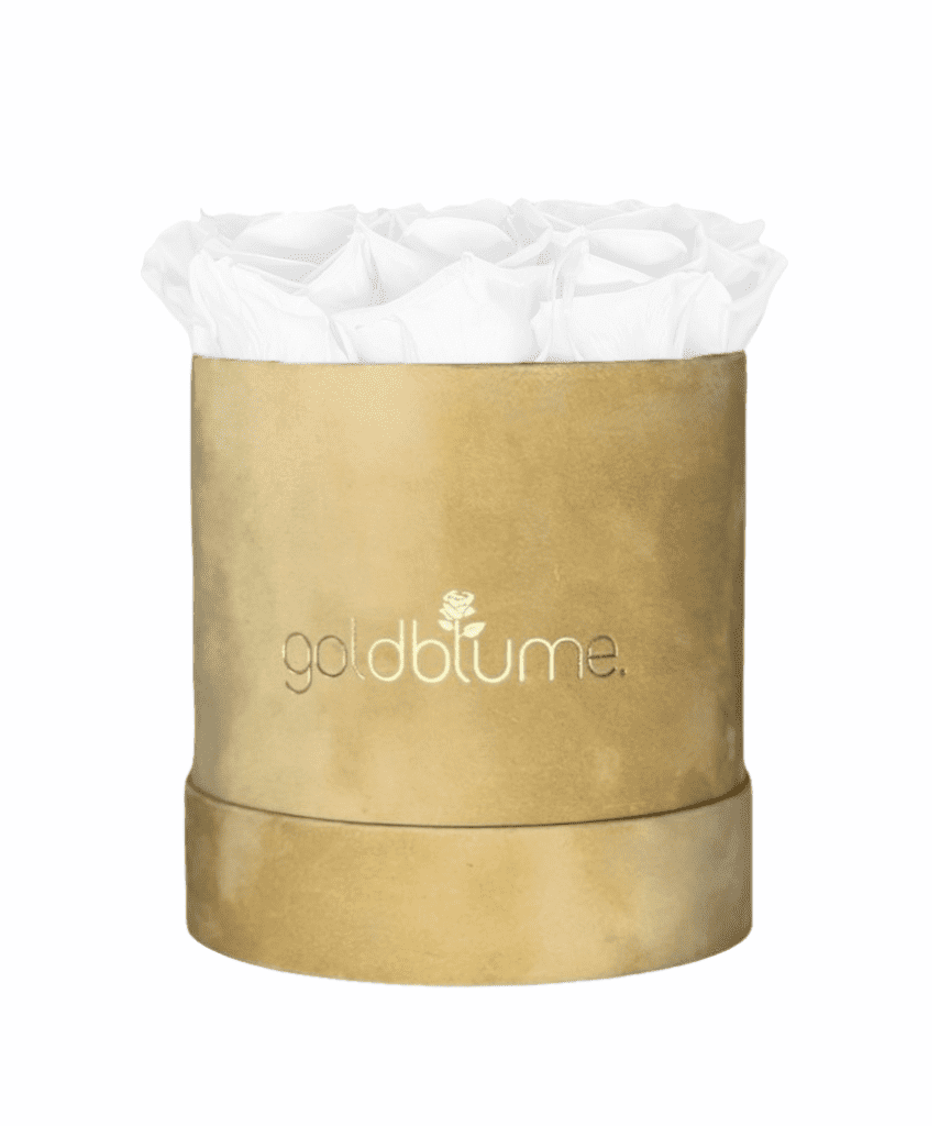 Velvet Beige Collection - Goldblume 