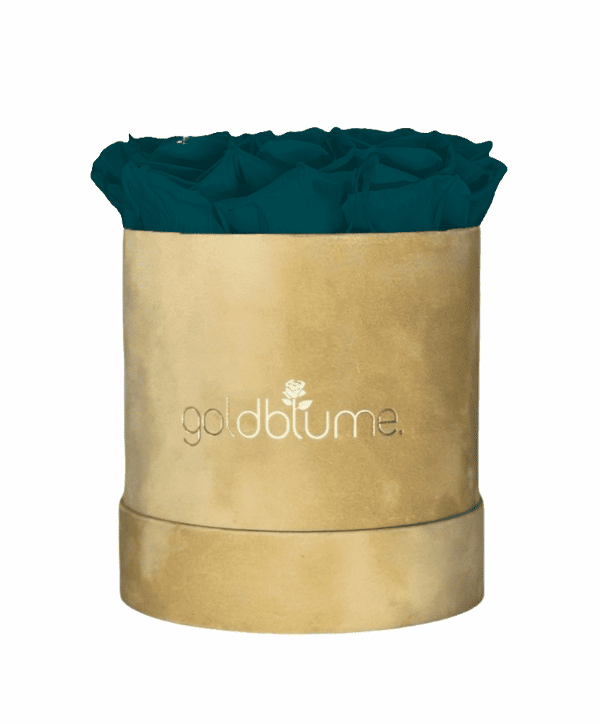 Velvet Beige Collection - Goldblume 