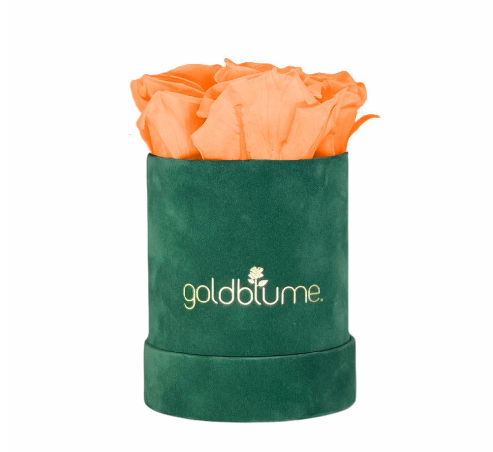 Velvet Green Collection - Goldblume 