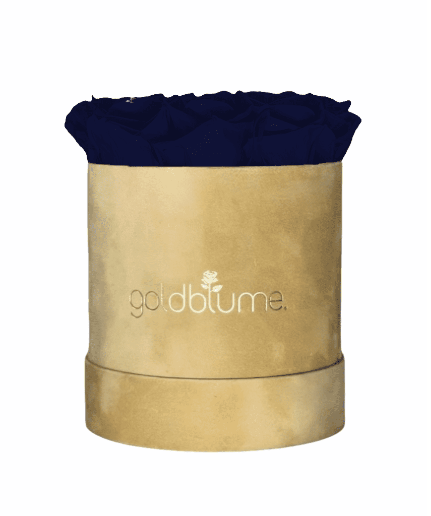 Velvet Beige Collection - Goldblume 