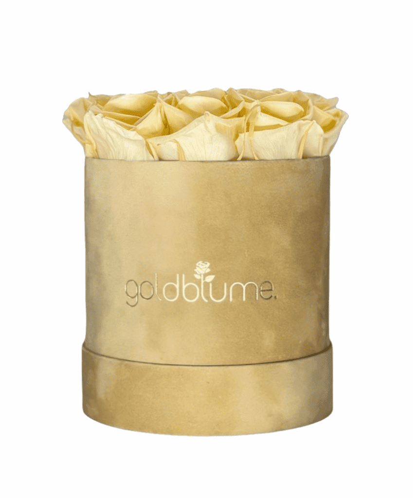 Velvet Beige Collection - Goldblume 