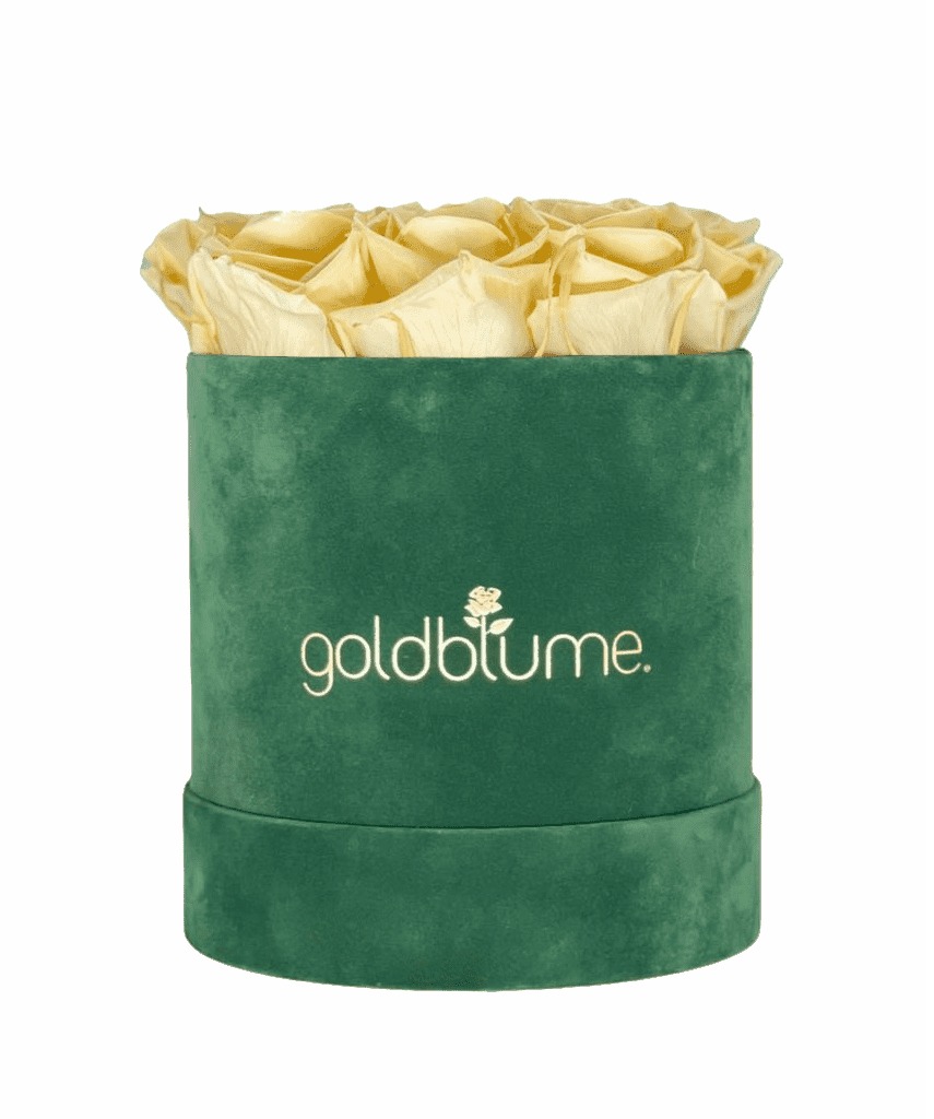 Velvet Green Collection - Goldblume 