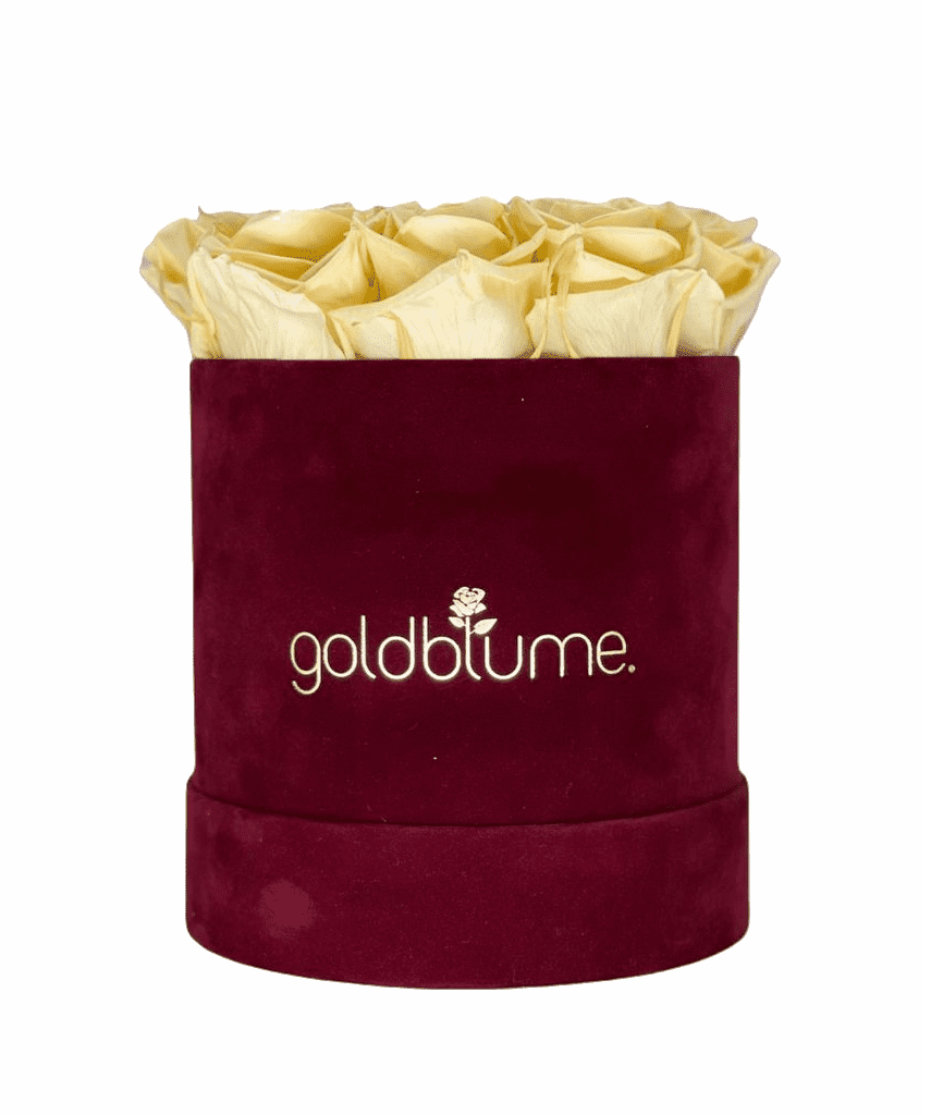 Velvet Bordeaux Collection - Goldblume 