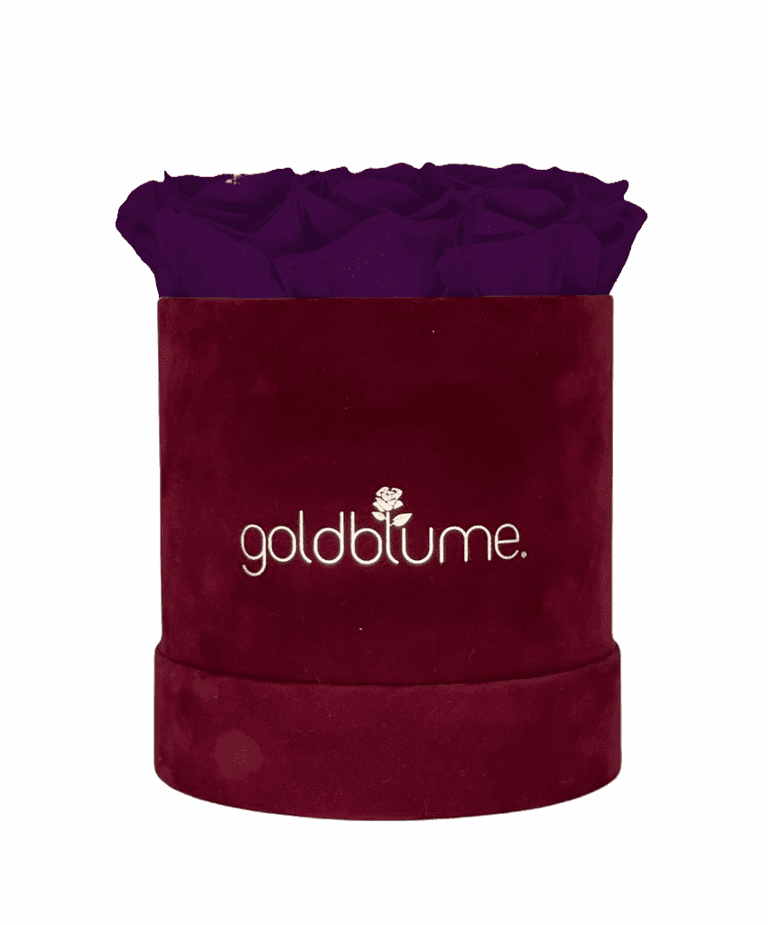 Velvet Bordeaux Collection - Goldblume 