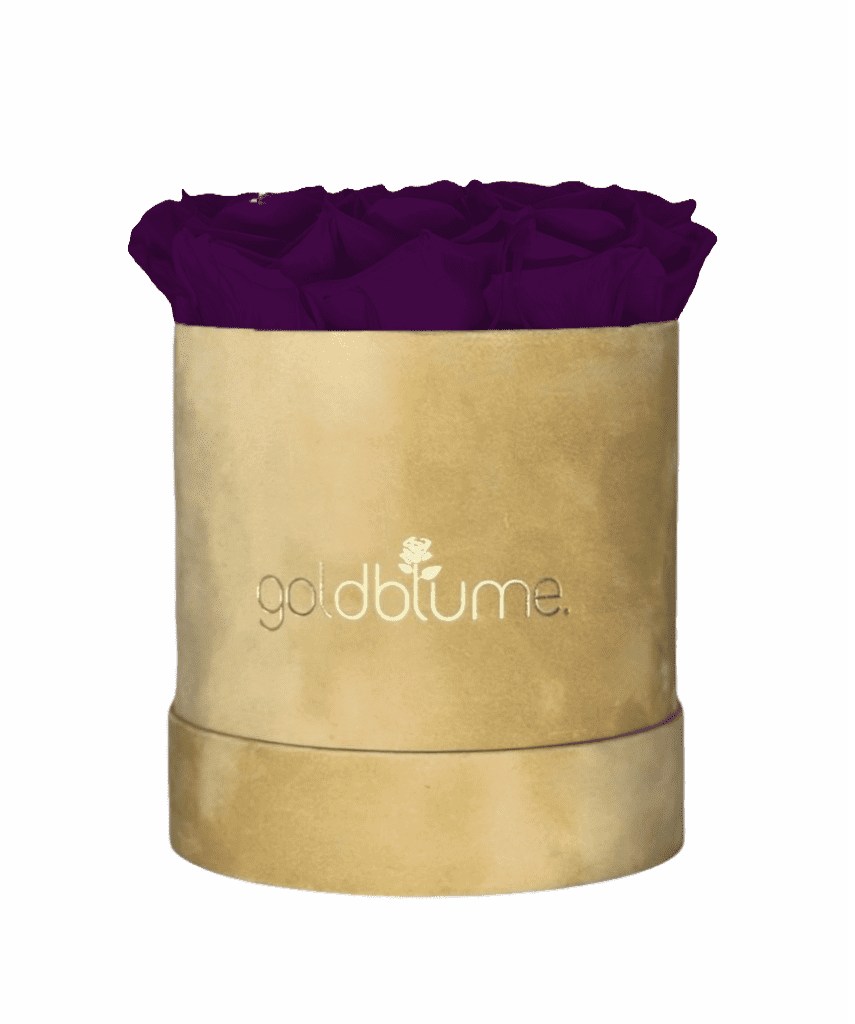 Velvet Beige Collection - Goldblume 