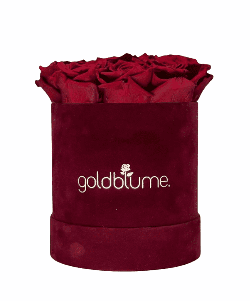 Velvet Bordeaux Collection - Goldblume 