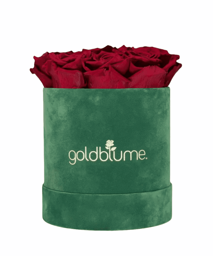 Velvet Green Collection - Goldblume 