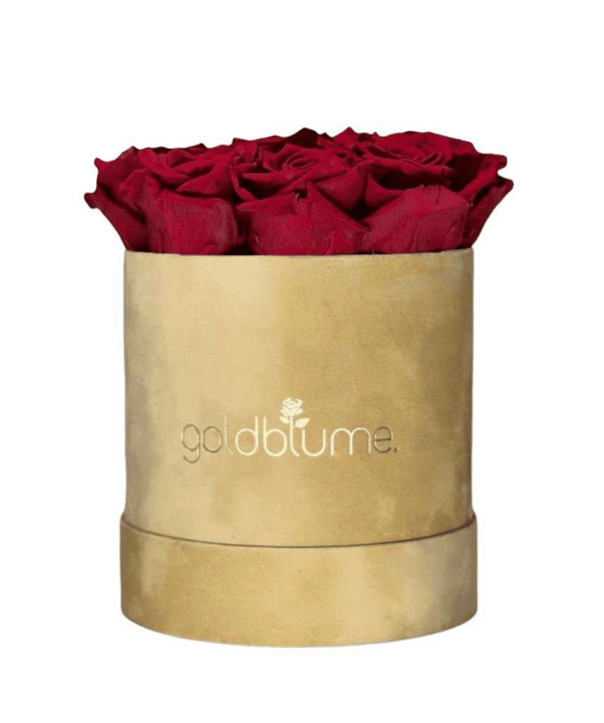 Velvet Beige Collection - Goldblume 