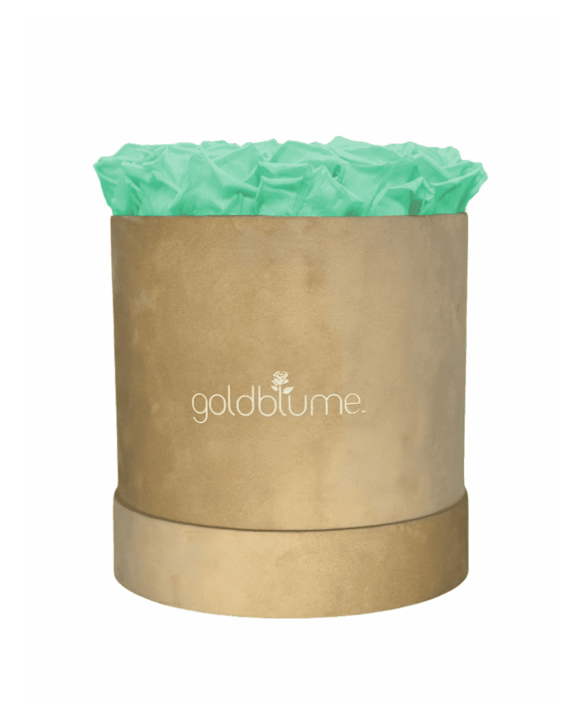 Velvet Beige Collection - Goldblume 