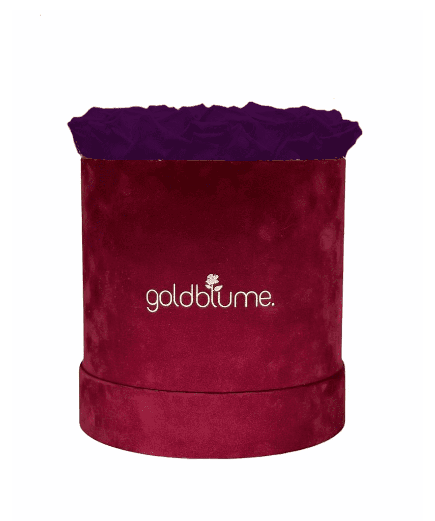 Velvet Bordeaux Collection - Goldblume 