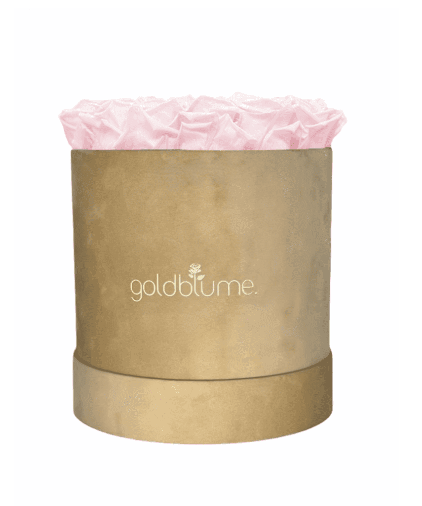 Velvet Beige Collection - Goldblume 