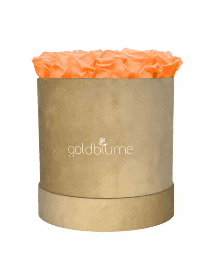 Velvet Beige Collection - Goldblume 