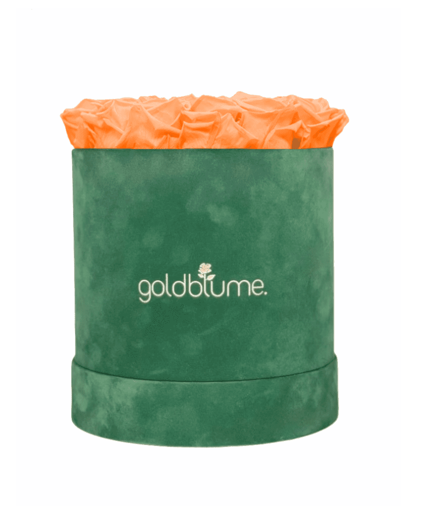 Velvet Green Collection - Goldblume 