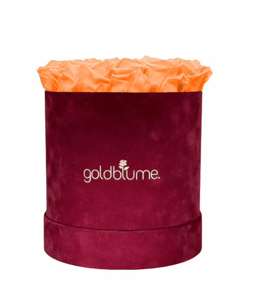 Velvet Bordeaux Collection - Goldblume 