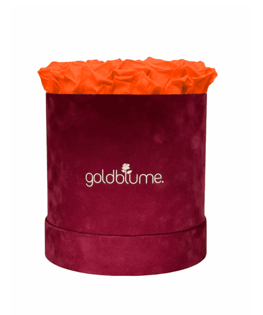 Velvet Bordeaux Collection - Goldblume 