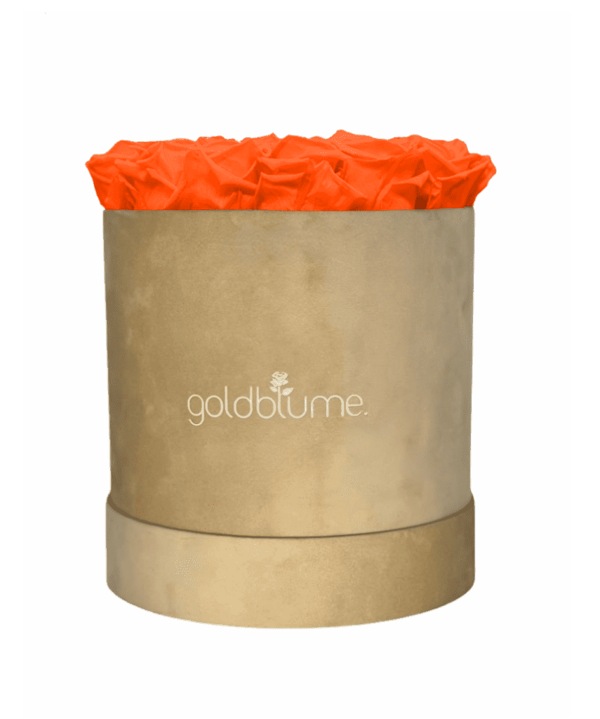 Velvet Beige Collection - Goldblume 