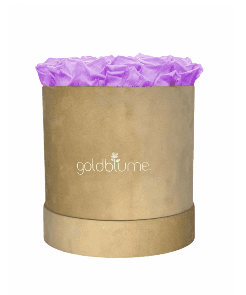 Velvet Beige Collection - Goldblume 