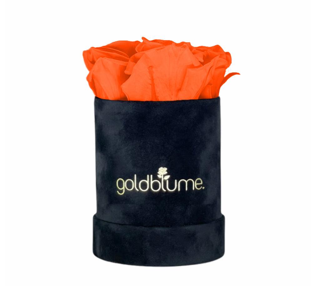 Velvet Black Collection - Goldblume 