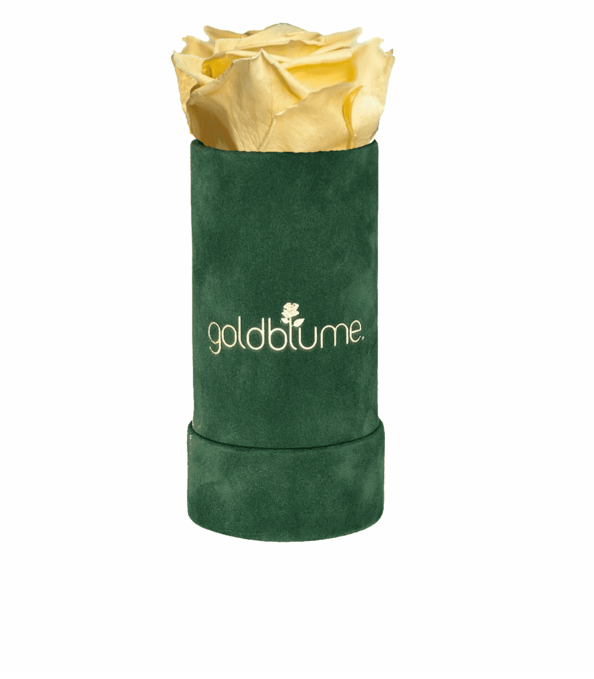 Velvet Green Collection - Goldblume 