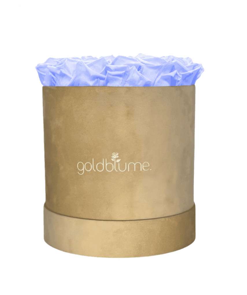 Velvet Beige Collection - Goldblume 