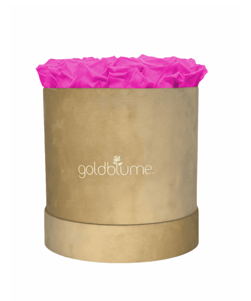 Velvet Beige Collection - Goldblume 