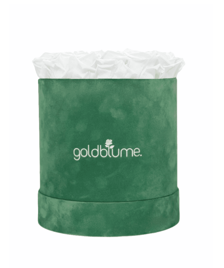 Velvet Green Collection - Goldblume 