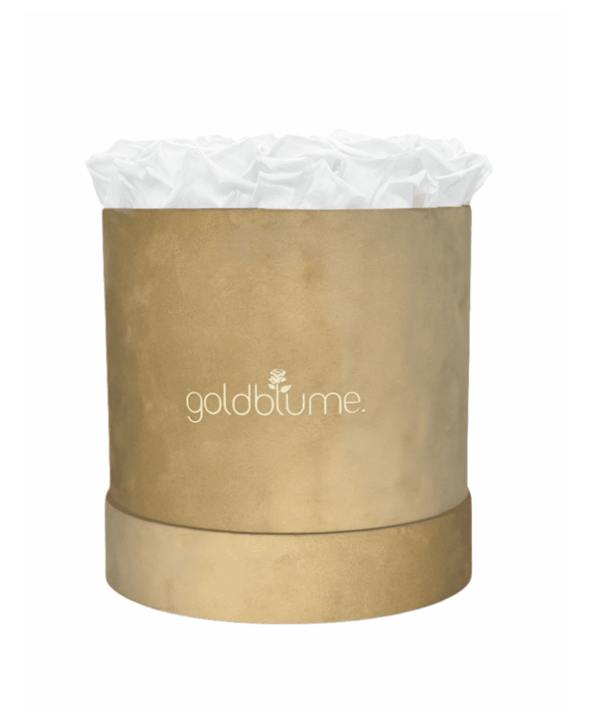 Velvet Beige Collection - Goldblume 