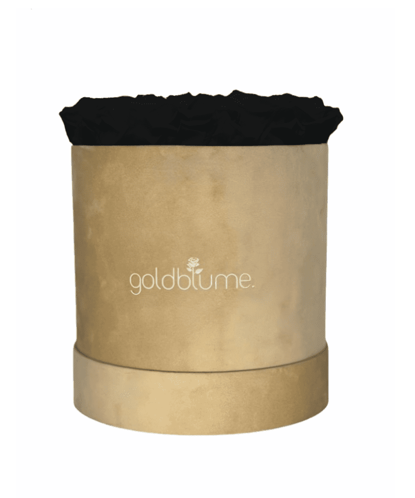 Velvet Beige Collection - Goldblume 