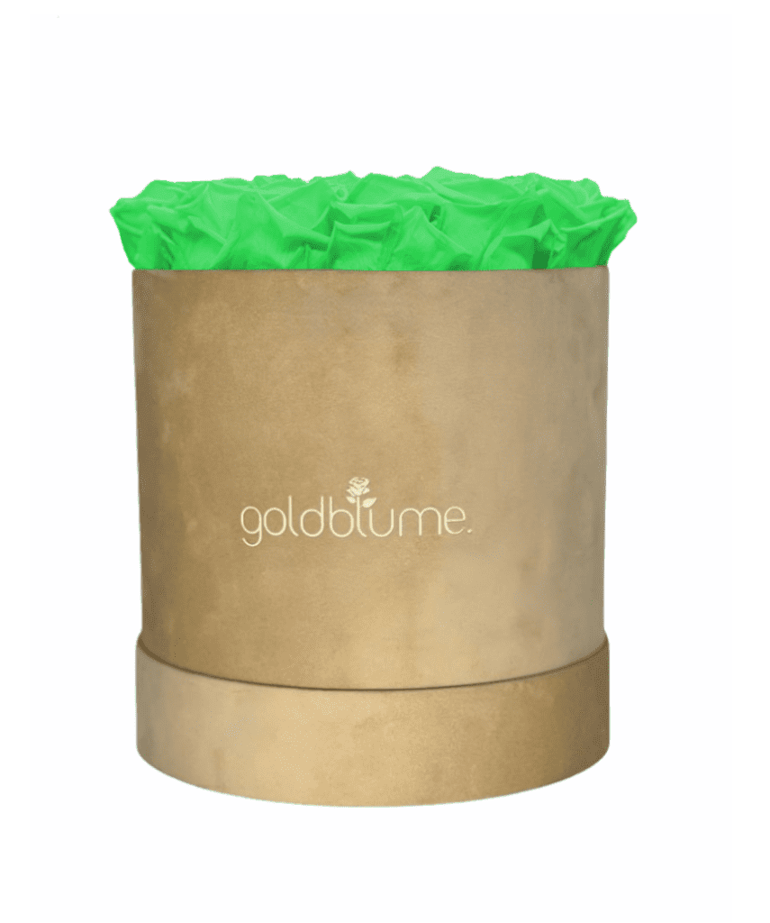 Velvet Beige Collection - Goldblume 