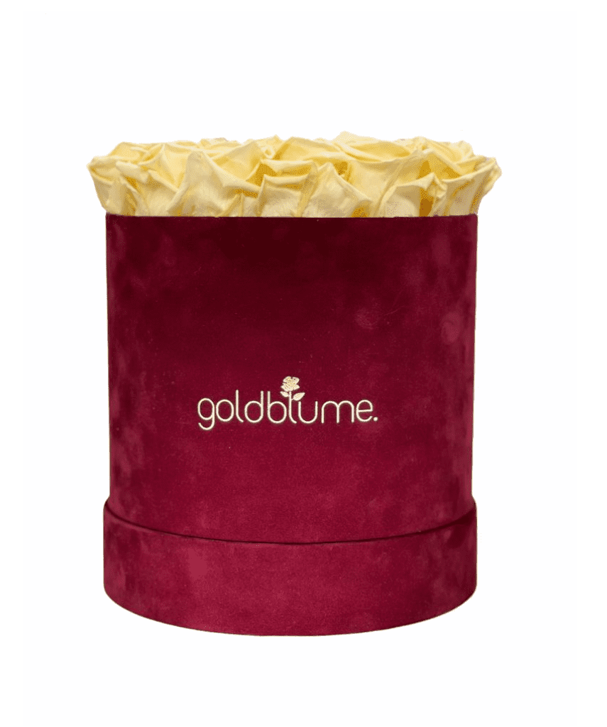 Velvet Bordeaux Collection - Goldblume 